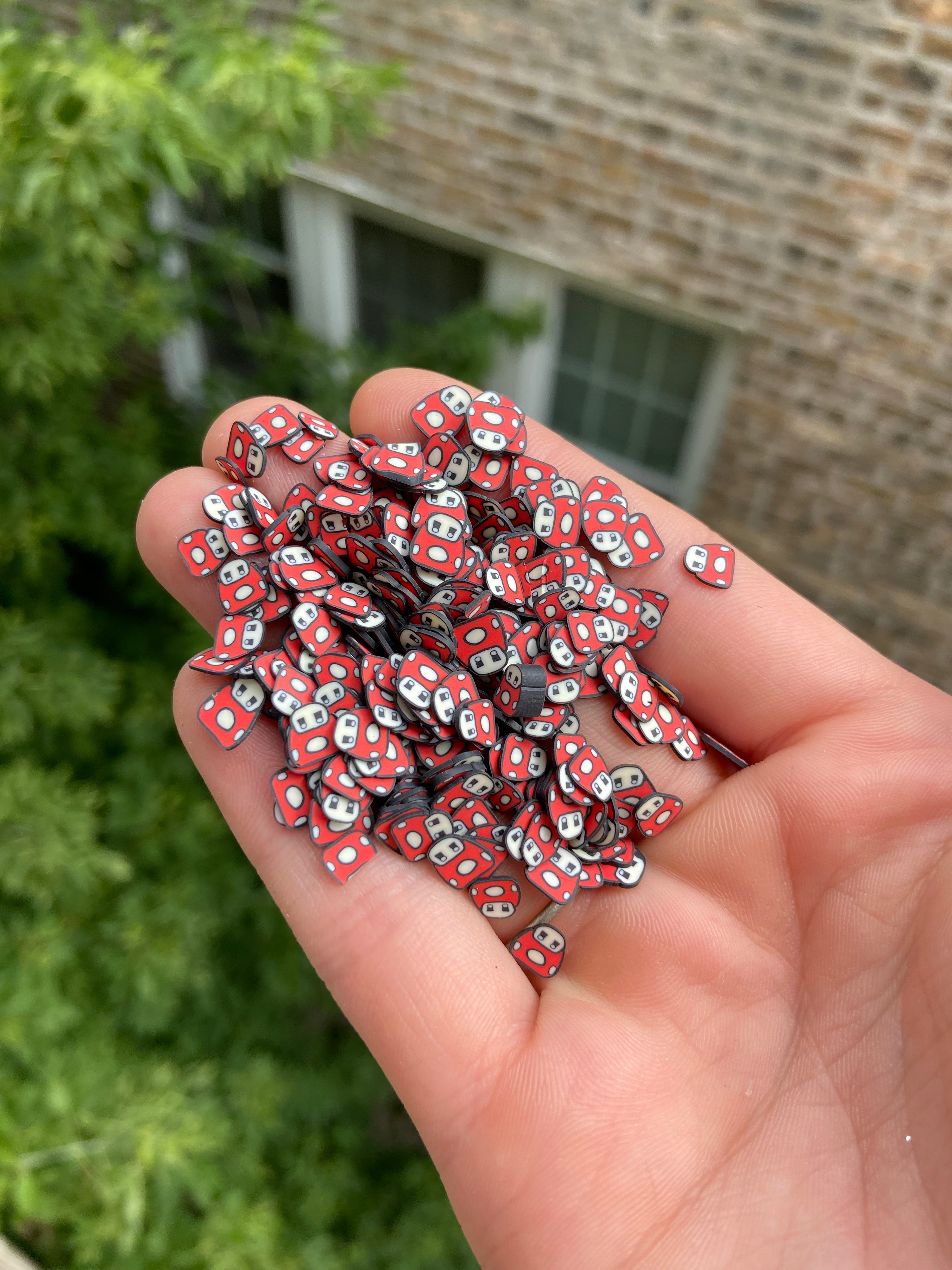 Mushroom Face Polymer Slices