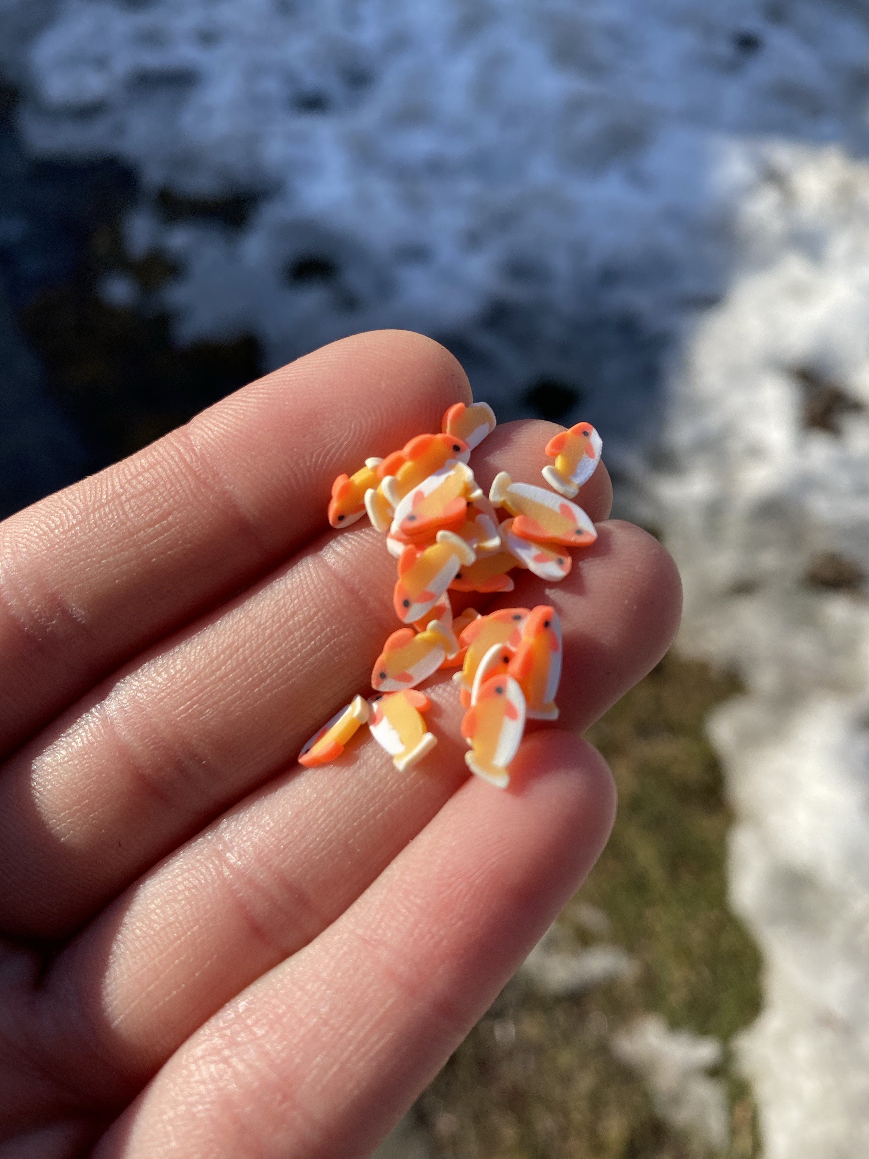 Fish Polymer Clay Slices