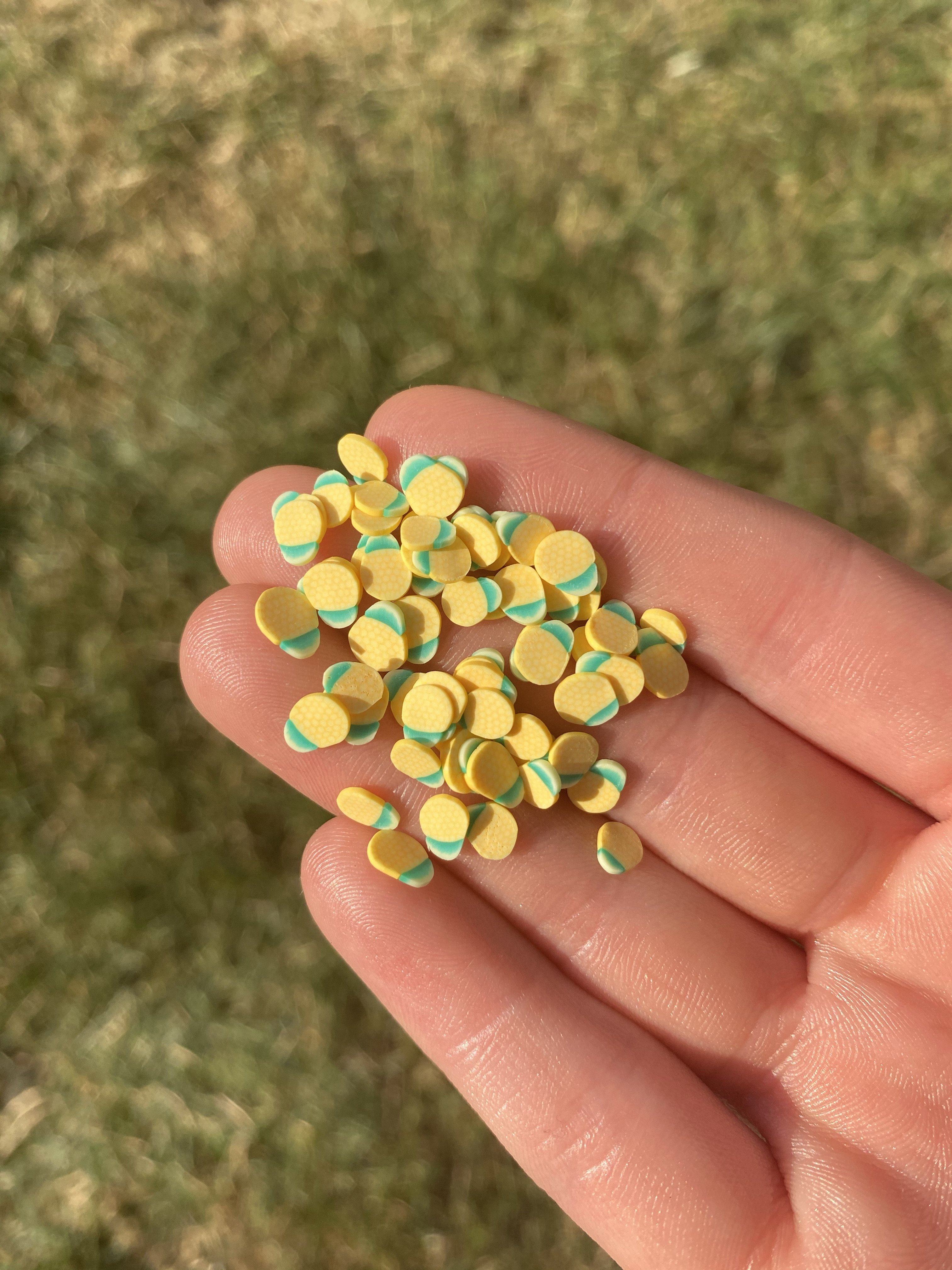 Pineapple Polymer Slices